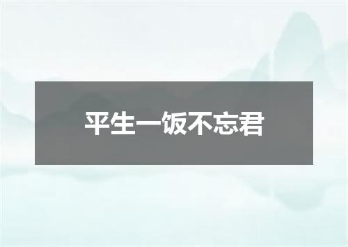 平生一饭不忘君