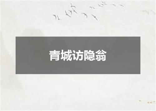 青城访隐翁