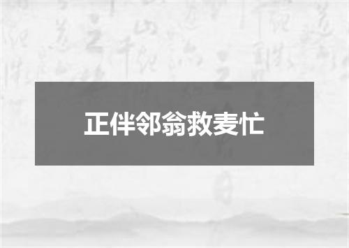 正伴邻翁救麦忙
