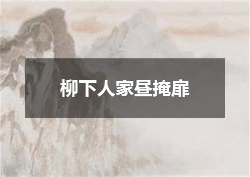 柳下人家昼掩扉