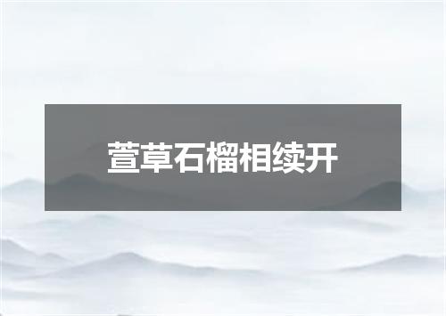 萱草石榴相续开