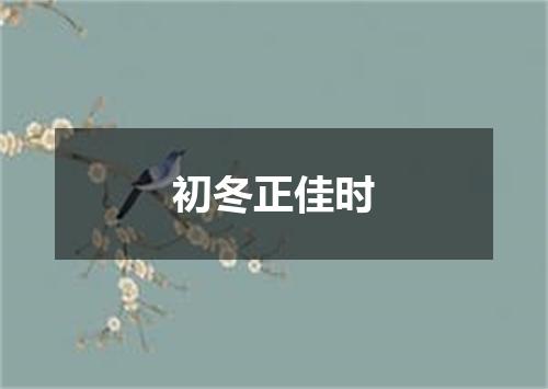 初冬正佳时