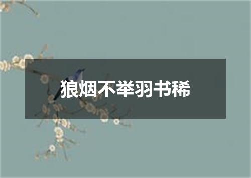 狼烟不举羽书稀