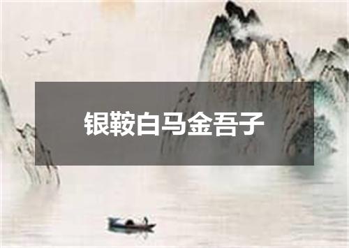银鞍白马金吾子