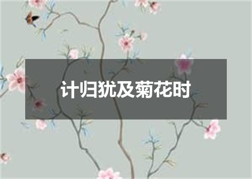 计归犹及菊花时