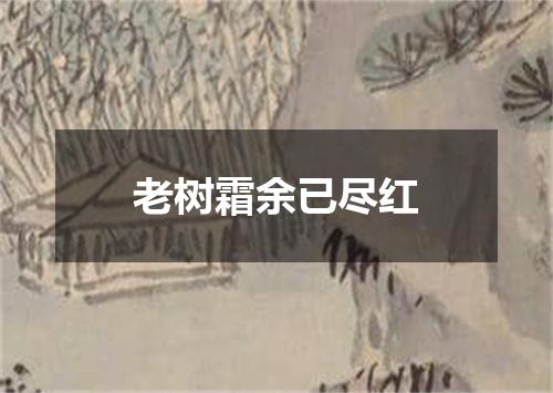 老树霜余已尽红