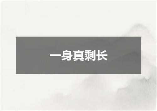 一身真剩长