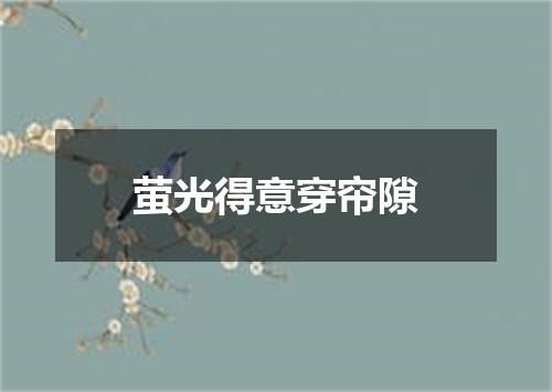 萤光得意穿帘隙