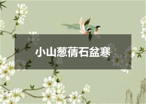 小山葱蒨石盆寒