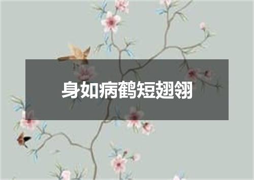 身如病鹤短翅翎