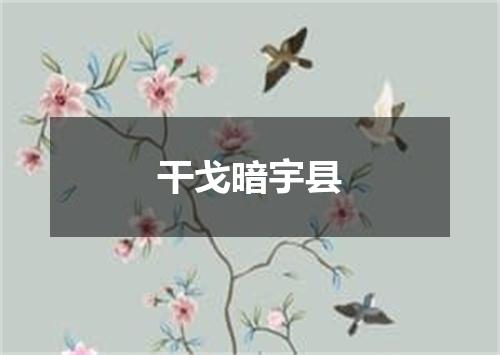 干戈暗宇县