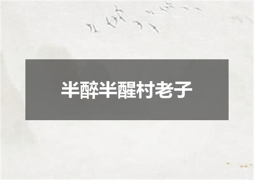 半醉半醒村老子