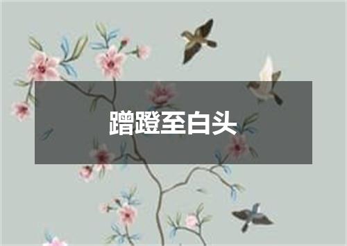 蹭蹬至白头