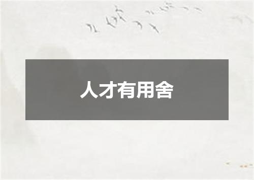 人才有用舍