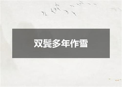 双鬓多年作雪