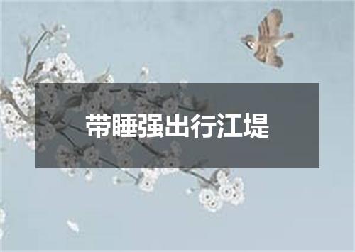 带睡强出行江堤