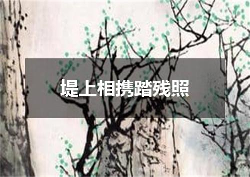 堤上相携踏残照