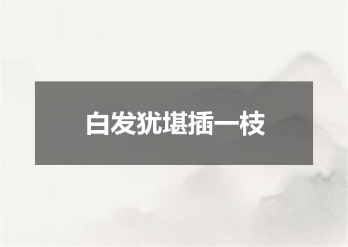 白发犹堪插一枝