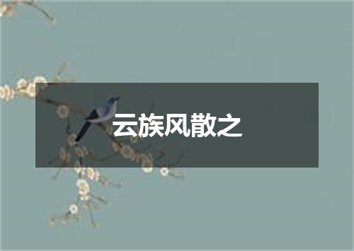 云族风散之