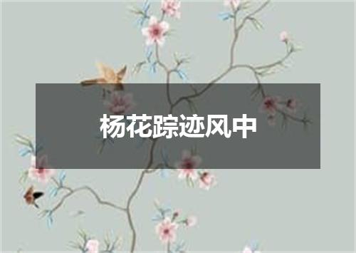 杨花踪迹风中