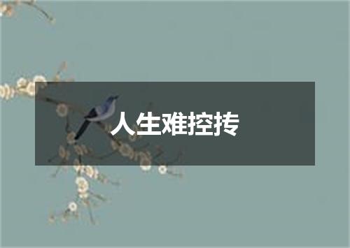 人生难控抟