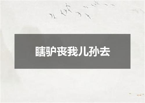 瞎驴丧我儿孙去