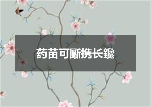 药苗可斸携长鑱