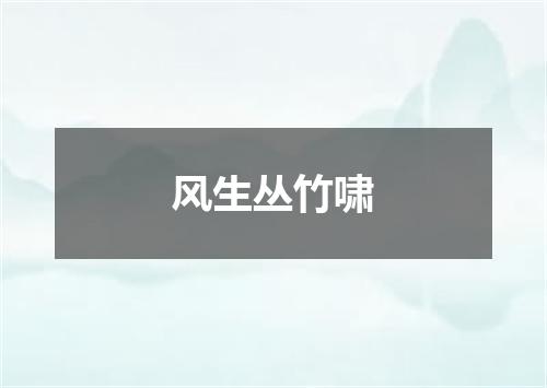 风生丛竹啸