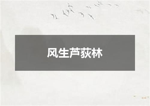 风生芦荻林