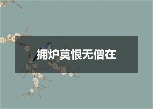 拥炉莫恨无僧在