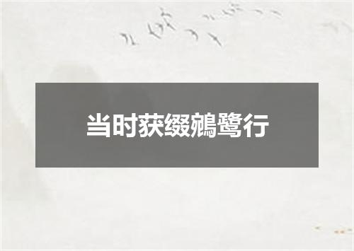 当时获缀鵷鹭行