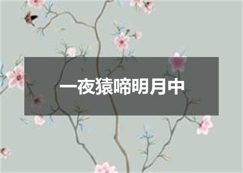 一夜猿啼明月中