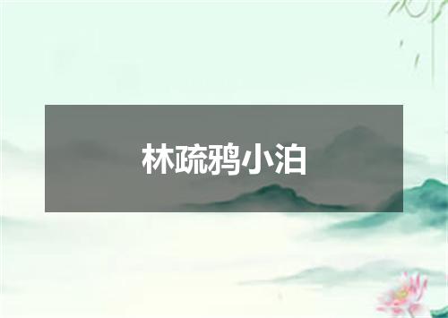 林疏鸦小泊