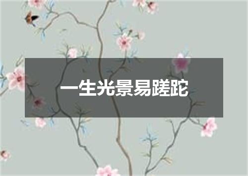一生光景易蹉跎