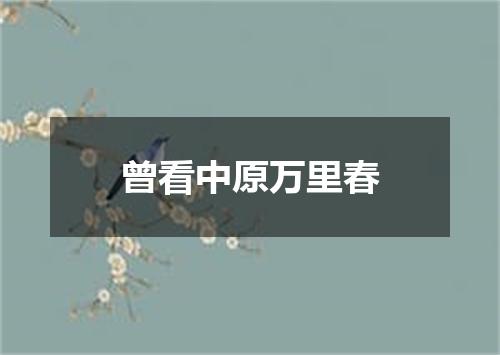曾看中原万里春