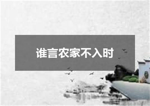 谁言农家不入时