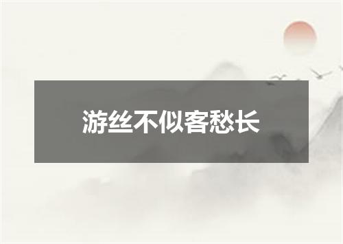 游丝不似客愁长