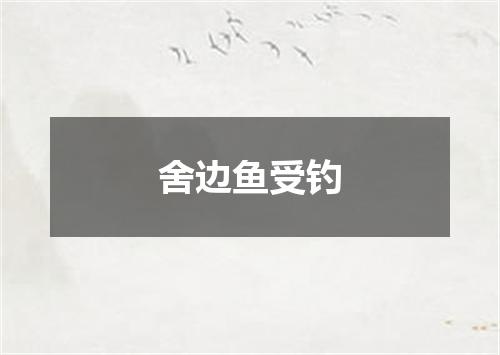 舍边鱼受钓