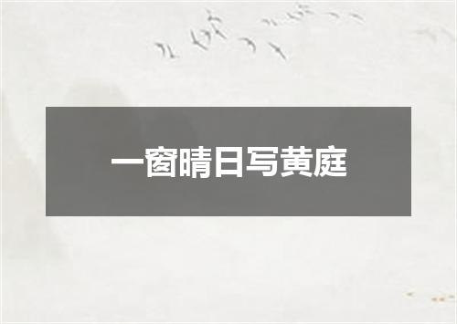 一窗晴日写黄庭