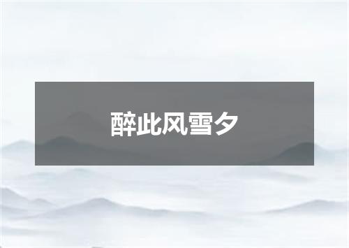 醉此风雪夕
