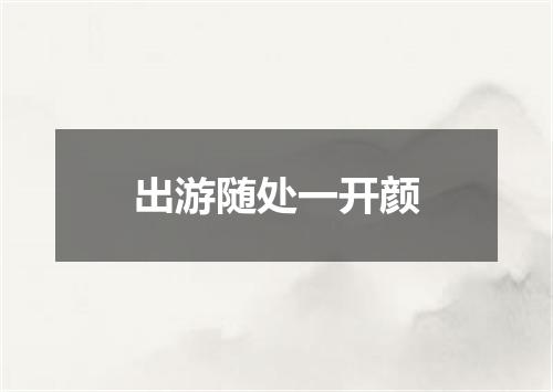 出游随处一开颜
