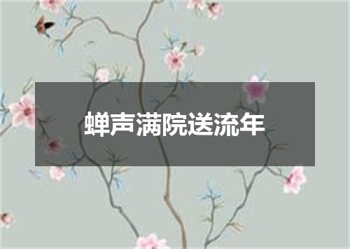 蝉声满院送流年