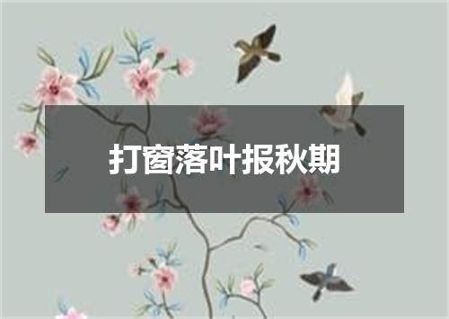 打窗落叶报秋期
