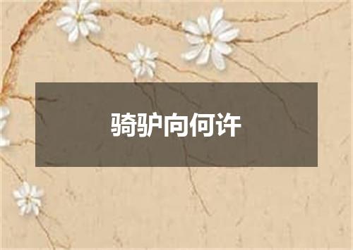 骑驴向何许
