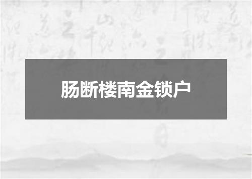 肠断楼南金锁户
