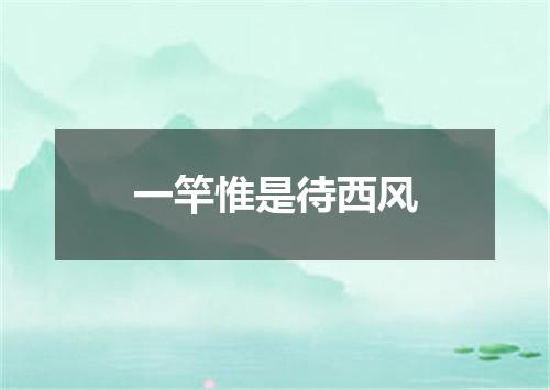 一竿惟是待西风