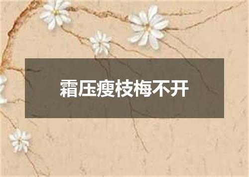 霜压瘦枝梅不开