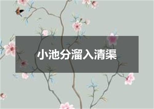 小池分溜入清渠