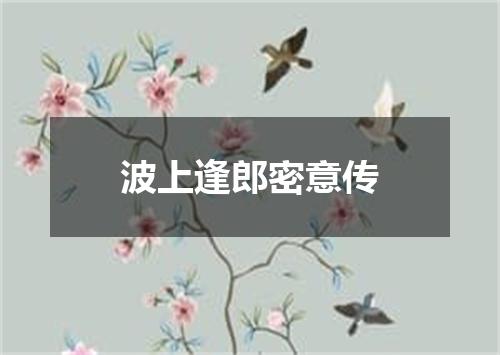 波上逢郎密意传