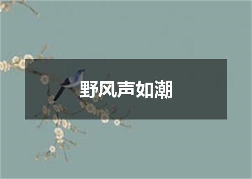 野风声如潮